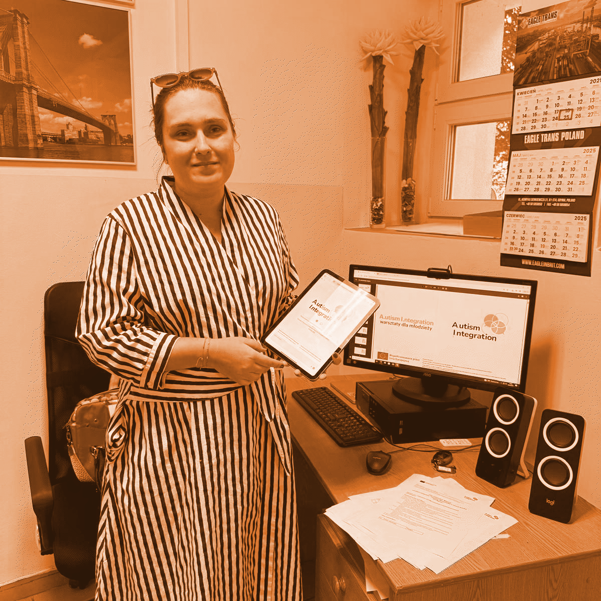 Visual representation of project activities and youth workshops